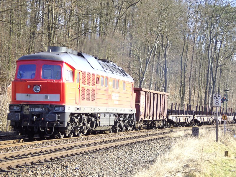 232 609 mit Gterzug auf dem Weg nach Nrnberg. Amberg, 18.02.2008