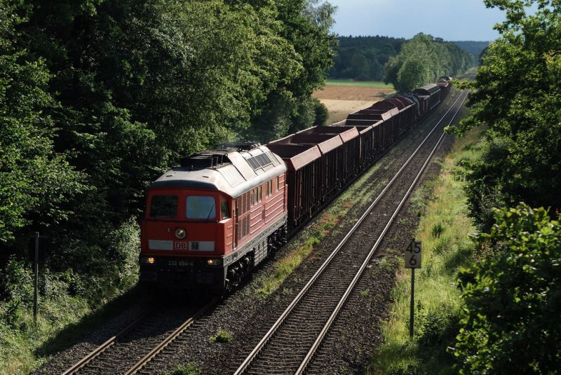 232 654 mit FZT 56421 bei Schwabhausen (10.07.2007)
