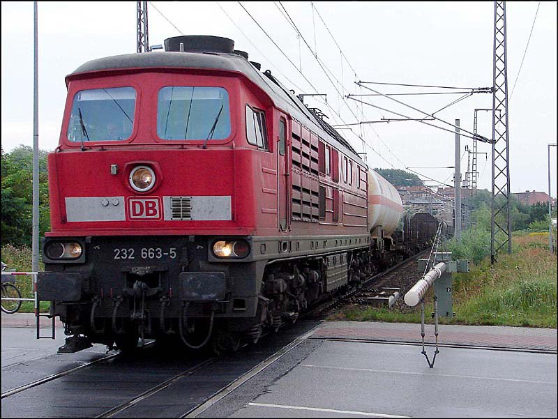 232 663-5 mit einem Gterzug unterwegs in Richtung Rostock Seehafen. (Stralsund am 14.08.06) 
