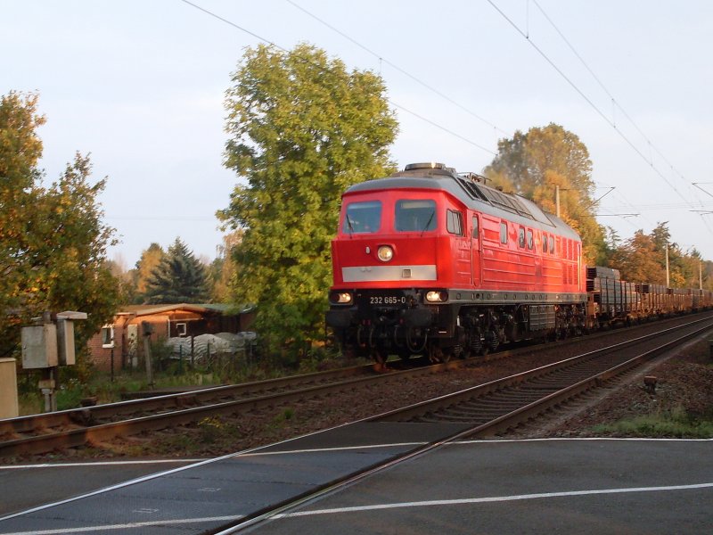 232 665-0 mit Stahlzug aus Peine Richtung Hannover