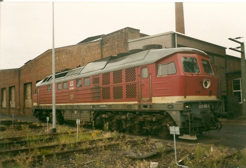 232 665 in der Einsatzstelle Berlin Grunewald.