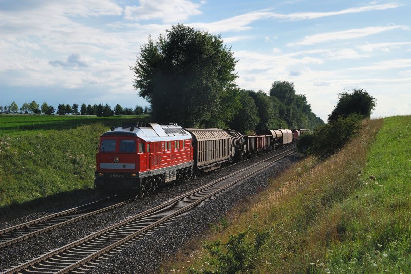 232 669 mit FZT 56541 bei Epfenhausen (13.08.2008)