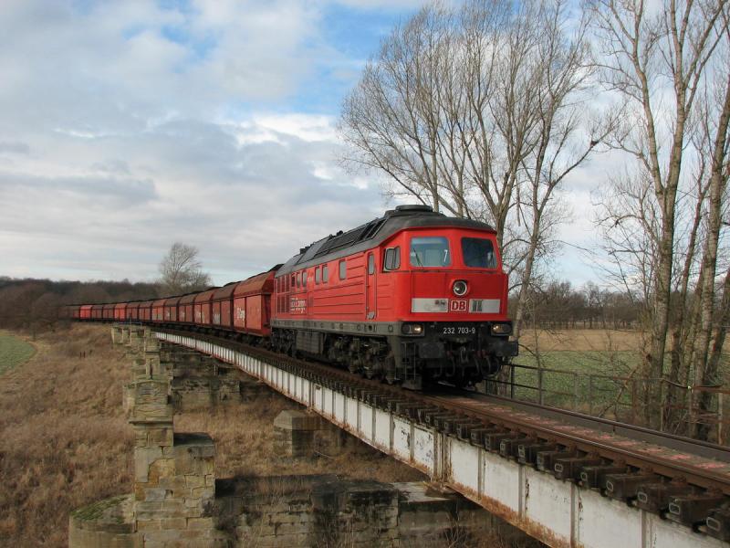 232 703 mit 61905 auf Flutbrcke vor Trglitz (17.02.06)