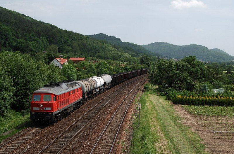233 040 mit FE 44322 vor Hersbruck (26.05.2007)