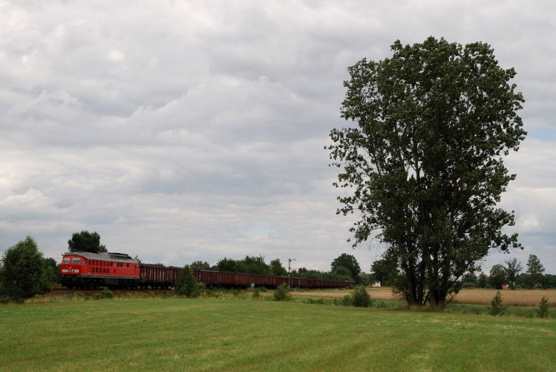 233 043 mit einem Kohlezug am Abzw. Srichen (25.07.2007)