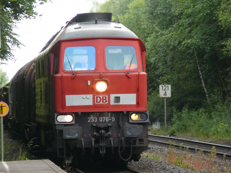 233 076-9 mit einem Gz richtung Nrnberg bei der durchfahrt in Waldershof, 20.6.2009