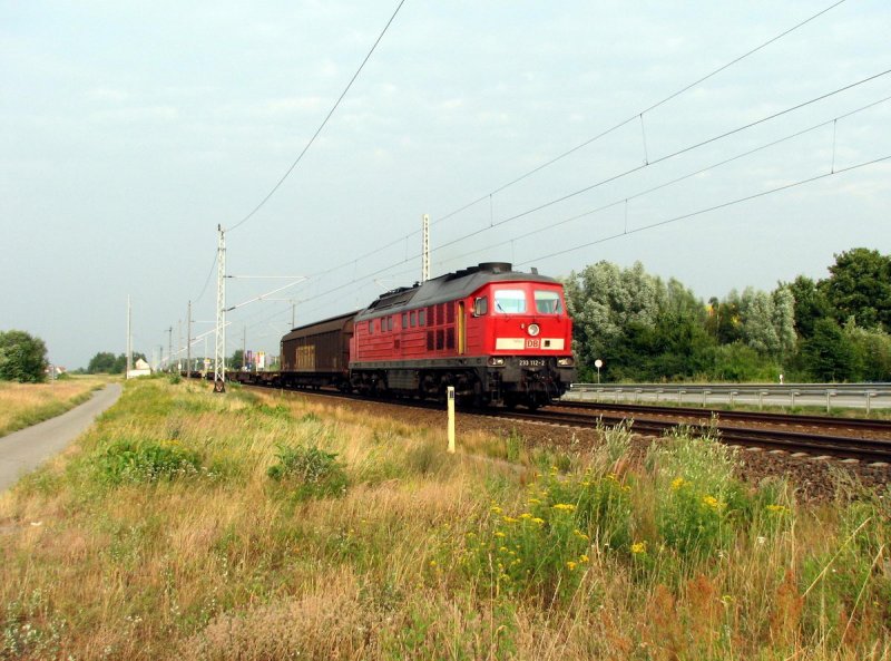 233 112 mit FE 45428 bei Stralsund (21.07.2006)