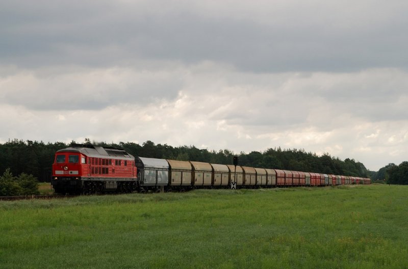 233 118 mit CS 47442 bei Uhyst (25.07.2007)