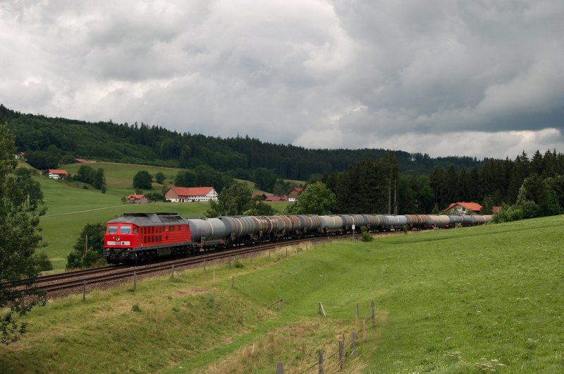 233 204 mit einem Kesselzug bei Ellenberg (28.06.2007)