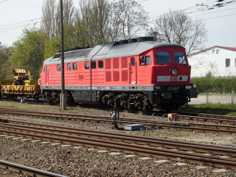 233 206 als Rangierlok am 26.April 2009 auf dem Bahnhof Bergen/Rgen ttig.