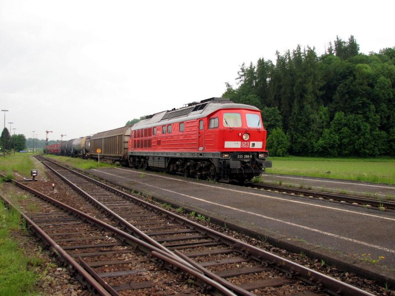 233 288 mit FZT 56520 in Tling (01.06.2006)