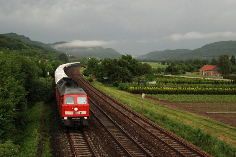 233 306 mit DZ 13250 (Orientexpress 'Prag-Calais Ville') vor Hersbruck (26.05.2007).
Bild ist mit ISO 800, 1/250 und Blende 4 gemacht. War leider schon sehr dunkel.