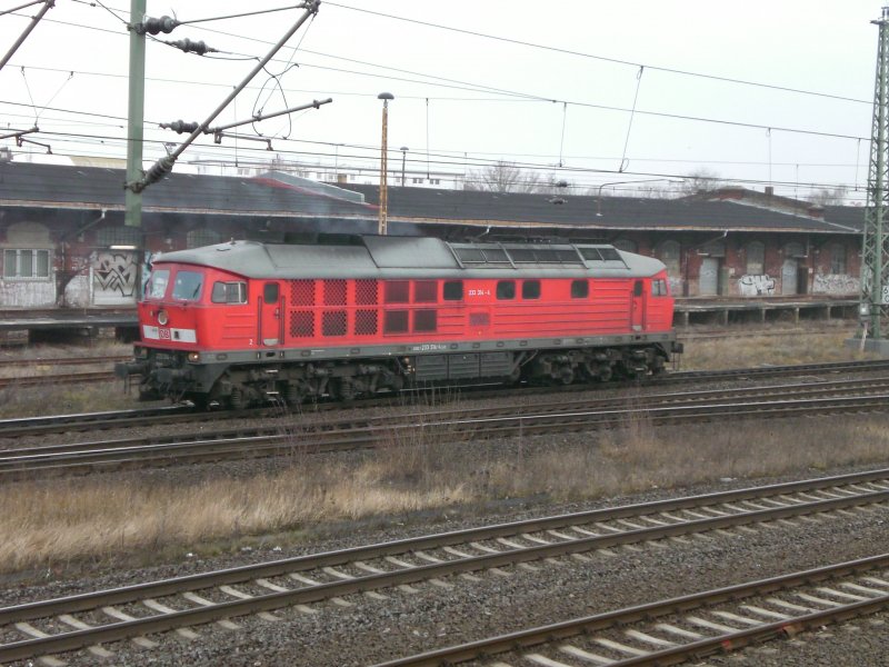 233 314 am 03.03.2009 in Brandenburg Hbf.