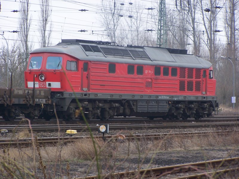 233 314 mit einem Leerwagenzug, am 25.02.2009, in Brandenburg Hbf.