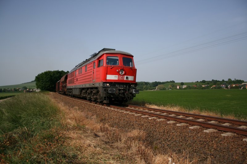 233 314 mit Gterzug am 30.05.08 in Gelenau b. Kamenz