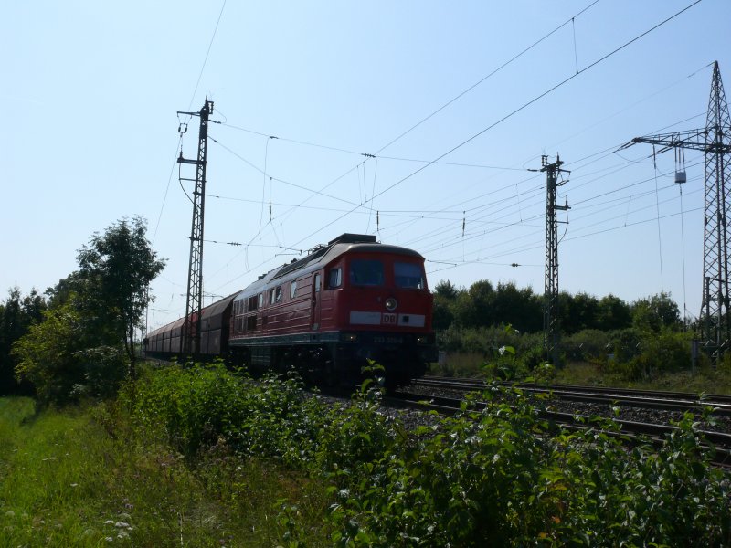 233 326-8 mit kurzem Gterzug bei Mainbernheim, 19.08.2009