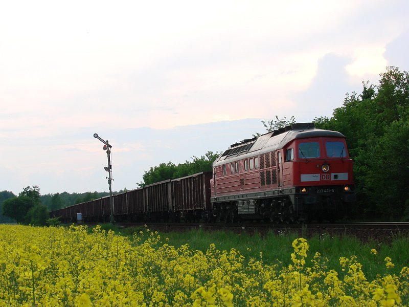 233 441-5 mit GZ aus Richtung Hoyerswerda am 17.05.2008 in Horka am Abzweig Srichen