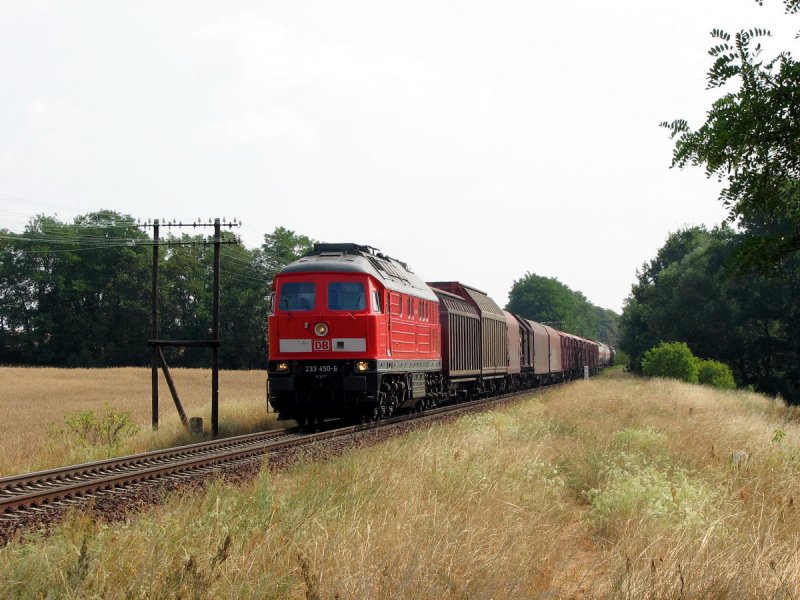 233 450 mit Gterzug in Mncheberg (30.07.2006)