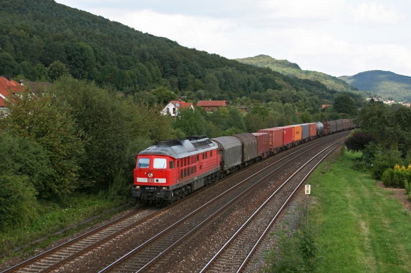 233 451 mit einem gemischten Gterzug am 04.08.2009 bei Hersbruck.