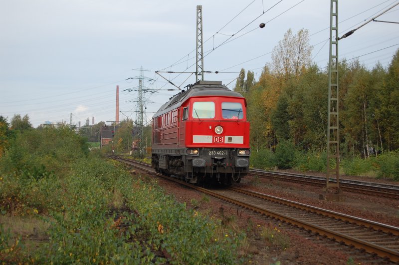 233 462 Lz am 18.10.2008 durch Unterelbe -> Harburg/Maschen