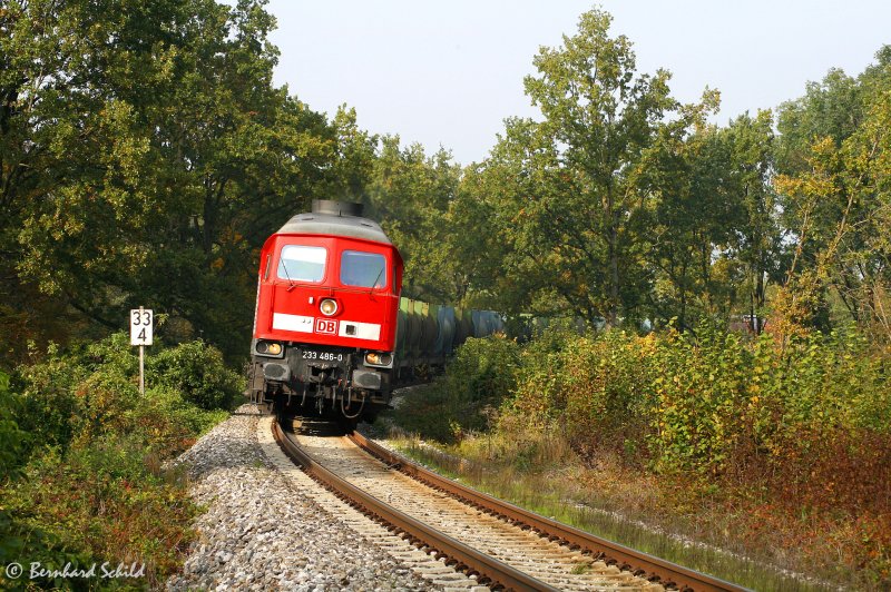 233 486 mit dem 51027 kurz vor der 10-La in Salling/Kay anfang Oktober