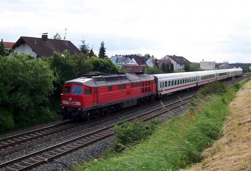 233 521 mit IC aus Nrnberg vor Reichenschwand (am 08.06.2005)