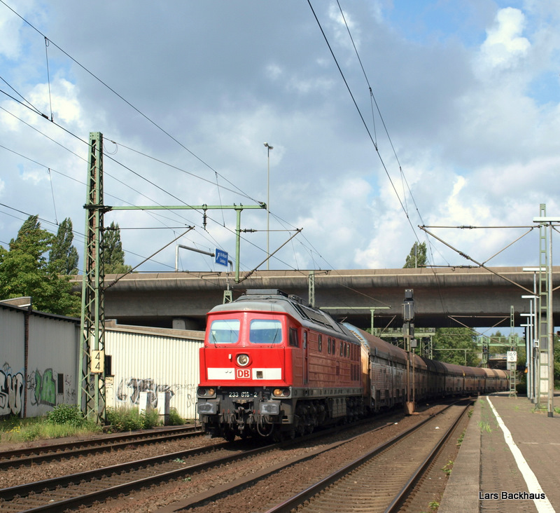 233 616-2 poltert am 29.08.09 mit einem Autotransportzug aus Cuxhaven an der BB-Truppe beim Bahnbilder-Treffen in Hamburg-Harburg an uns vorbei und wird bald den Zielbahnhof Maschen Rbf erreichen.