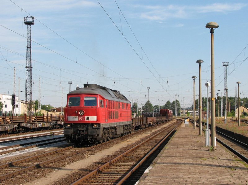 233 652 mit FZT 53289 in Waren (Mritz) (20.07.2006)