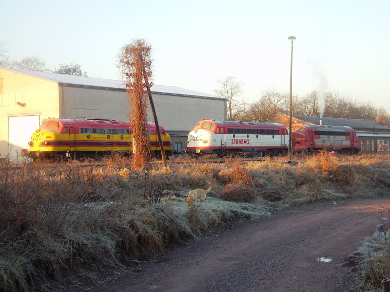 26.12.2008 in Haldensleben-Feiertagsstimmung.Die Rundnasen der Firma Eichholz stehen vor ihrem Lokschuppen und warten auf neue Aufgaben.