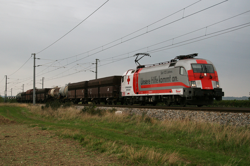 26.9.07 Auch die Laaer G�terz�ge waren auch mal in der Hand der 16er. An dem Tag war aber eine ganz besondere Lok auf dem Zug zu sehen. Hier die 1116 264 mit dem NG 64203 von Laa an der Thaya nach Kledering.