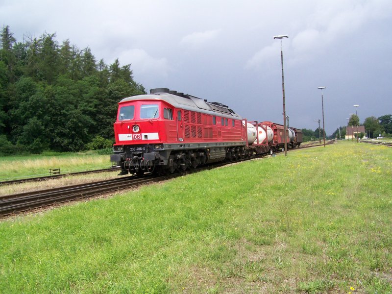 27.06.07, 233 486-0 mit einem gemischten Gterzug durch Tssling in Richtung Burghausen.