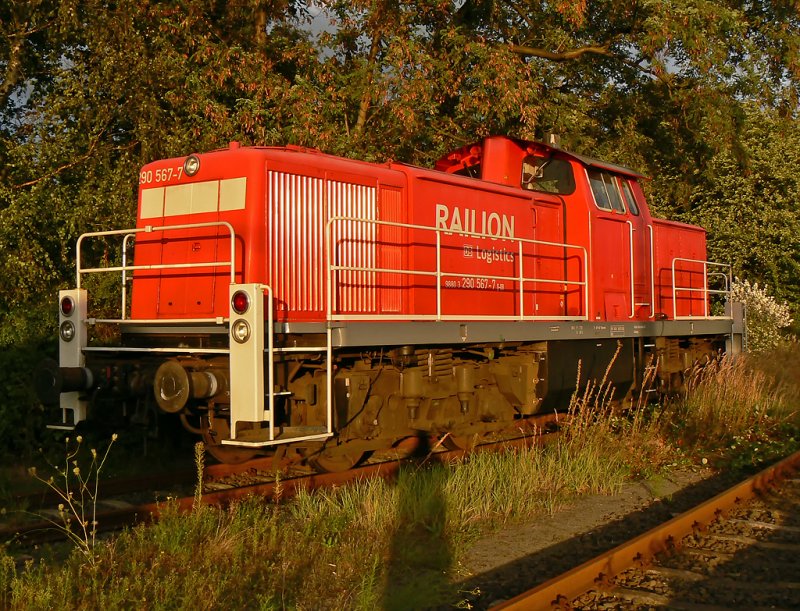 290 567-7 , aufgenommen am 3.9.09 in Kln Gremberg kurz vor Sonnenuntergang