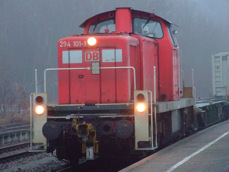 294 101 mit Gterzug am 5.2.2006 in Deggendorf Hbf. Sie wartet auf die entgegenkommende RB aus Plattling. 
