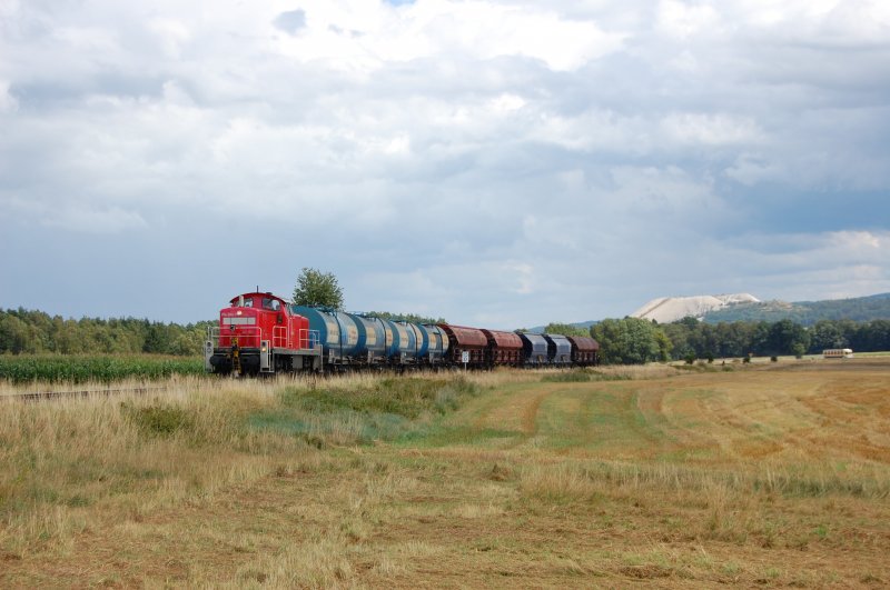294 580 am 08.08.2008 mit einem G�terzug Richtung Amberg beim  Monte Blick  (Strecke Amberg-Schnaittenbach)