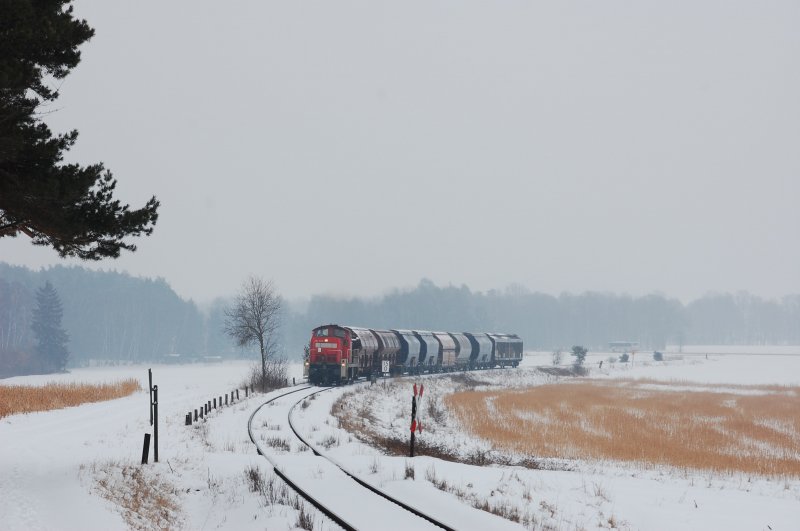 294 587 am 20.02.2009 zwischen Hirschau und Gebenbach. Normalerweise wre das der  Monte-Blick  doch aufgrund der schlechten Witterung ist er nicht zu sehen. Ich habe diese Version zum ersten Mal ausprobiert. (Strecke Amberg-Schnaittenbach)