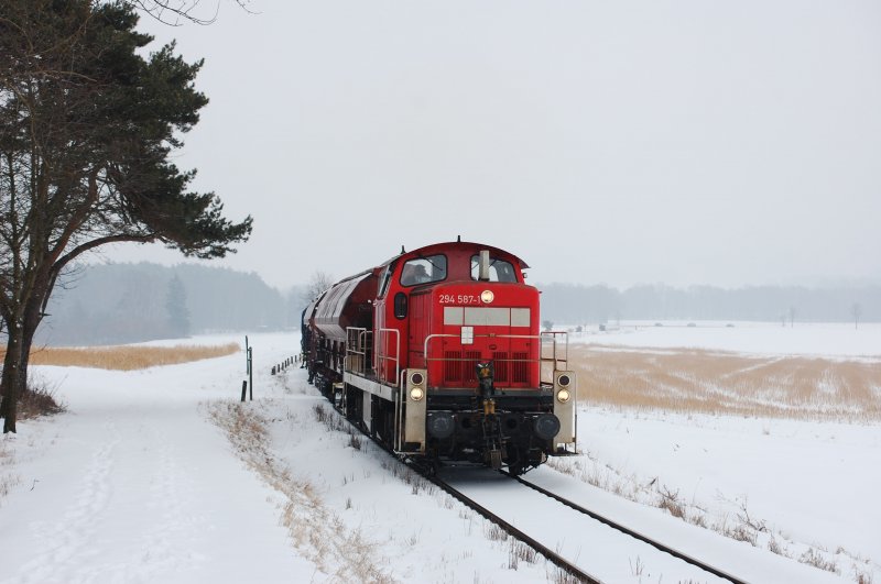 294 587 am 20.02.2009 zwischen Hirschau und Gebenbach. Normalerweise wre das der  Monte-Blick  doch aufgrund der schlechten Witterung ist er nicht zu sehen. Ich habe diese Version zum ersten Mal ausprobiert. (Strecke Amberg-Schnaittenbach)