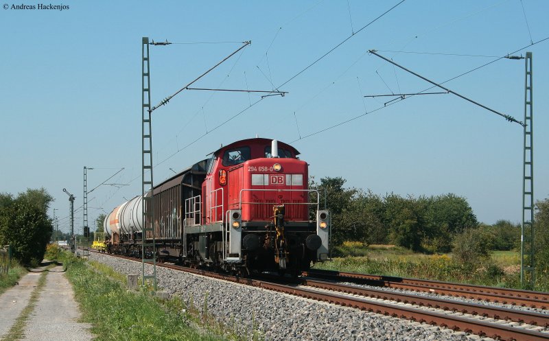 294 658-0 mit ihrem Kurzgüterzug an der Bk Basheider 24.8.09