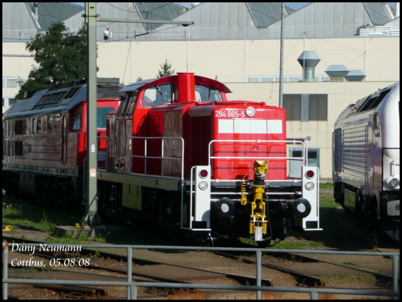 294 665 im AW Cottbus. Aufnahmedatum: 05.08.08