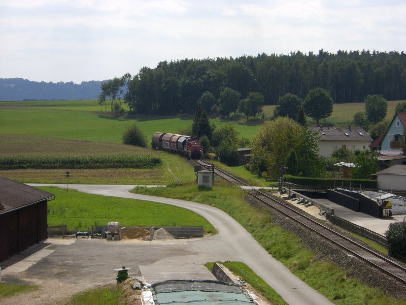 294 745 mit einem Gterzug nach Hirschau bei Godlricht. (30.08.2007)
