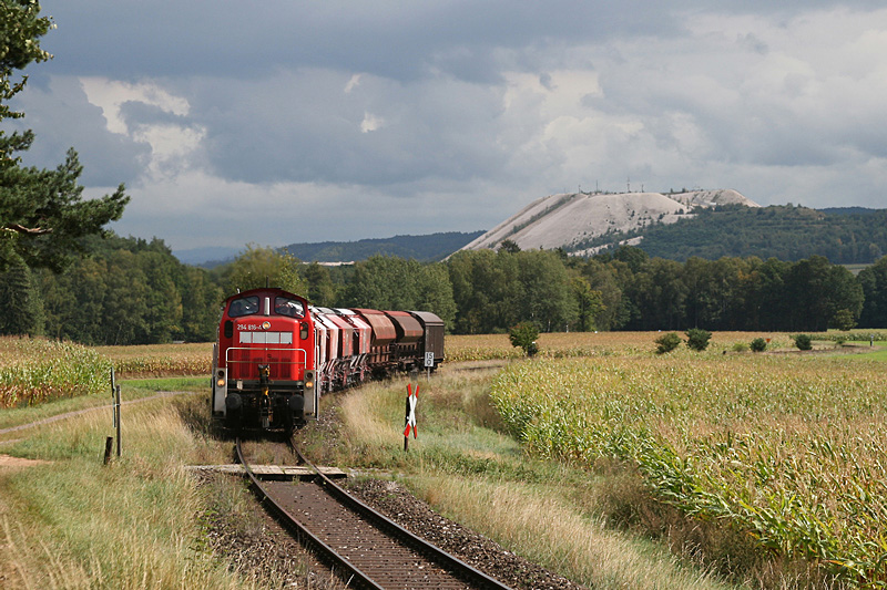294 816 mit der bergabe nach Amberg am 04.09.2009 bei Hirschau.