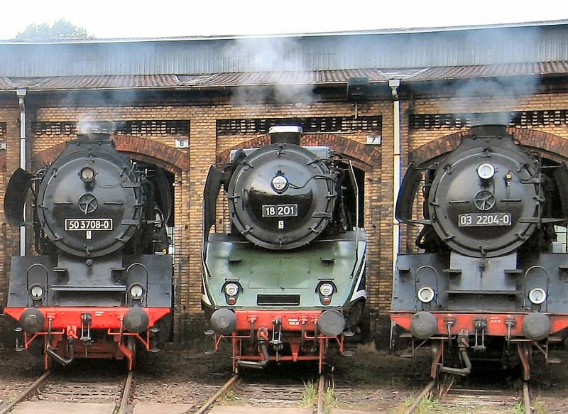 3 x Dampf am Lokschuppen des ehem. Bw Schneweide: 
03 2204-0
18 201
50 3708-0
