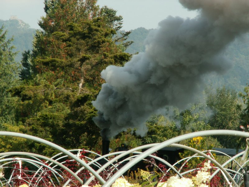 30 Jahre SchBB.Irgendwo muss doch da eine Dampflok sein,oder!? 28.09.08