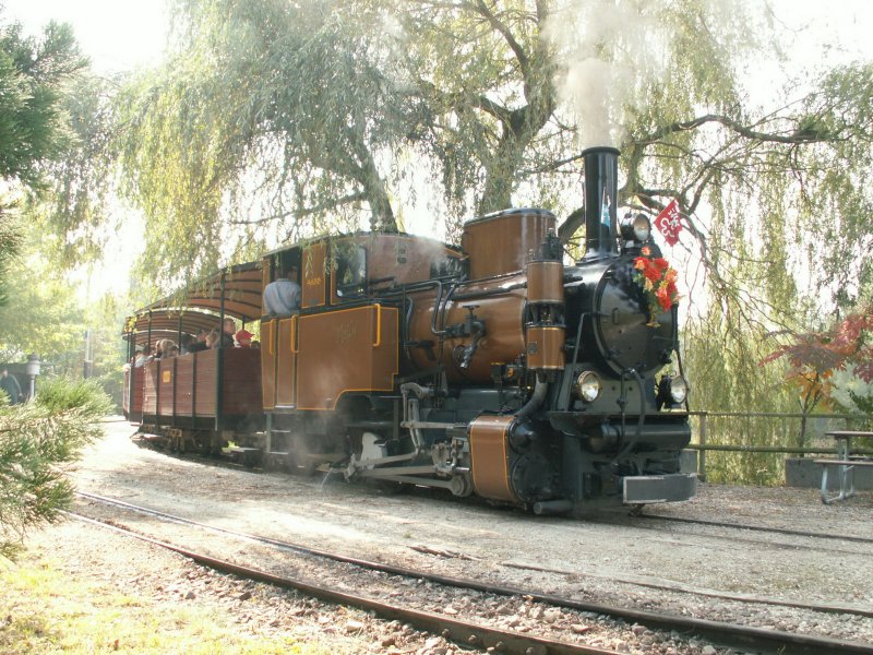 30 Jahre SchBB.Lok  Molly (SLM 1944)wartet mit ihrem Zug bei der Kreuzungsstation Baumschulsee auf einen Gegenzug.28.09.08