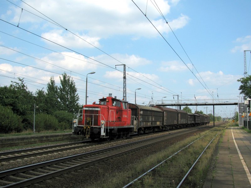 363 201-5 nochmal mit den selben Schiebewandwagen am 17.08 durch Saarmund.
