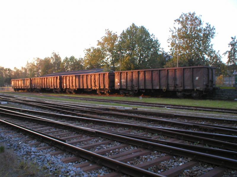 4 Wagen der Gattung Ea* zur Rbenbeladung am Bhf. Ried i.I. hinterstellt 2005-10-10