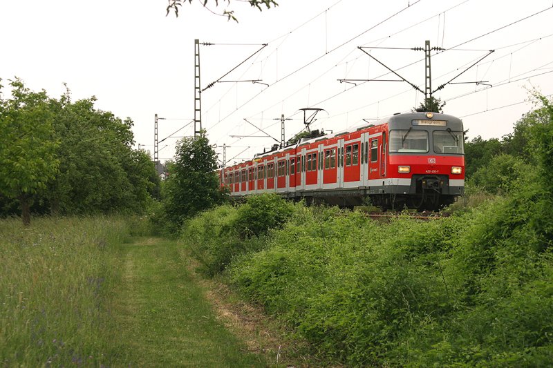 420 450-9 am 28.05.08 als S5 auf dem Weg von Stuttgart nach Bietigheim-Bissingen. Die Aufnahme entstand bei Asperg.