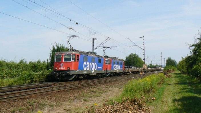 421 384 und 421 377 fuhren mit einem gemischten SBB-Gterzug bei Denzlingen bei Freiburg Richtung Basel (Juli 2008)
