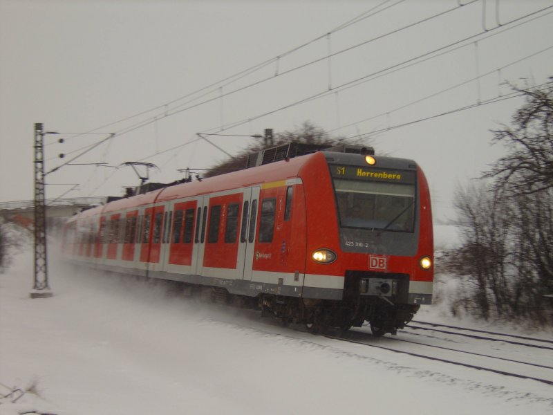 423 310-2 (S-Bahn Stuttgart) kurz vor Endbahnhof Herrenberg (24.01.2007)