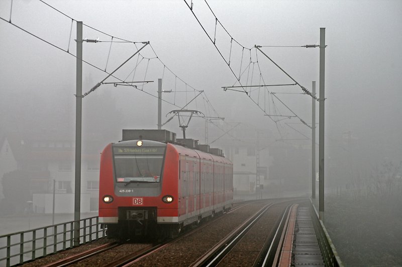 425 239 berquert am sehr nebligen 23. Dezember 2008 als S1 von Osterburken nach Homburg an der Saar bei Neckargemnd den Neckar und wird in Krze im Neckargemnder Haltepunkt Altstadt zum Stehen kommen.