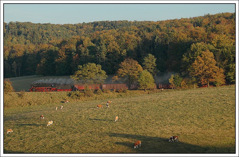 44 1486 beim 3. Plandampftag im Werratal mit einem Leerzug von Themar nach Eisenach Gbf. am 13.10.2007 kurz nach Marksuhl aufgenommen.